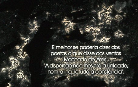 Carrossel de imagens